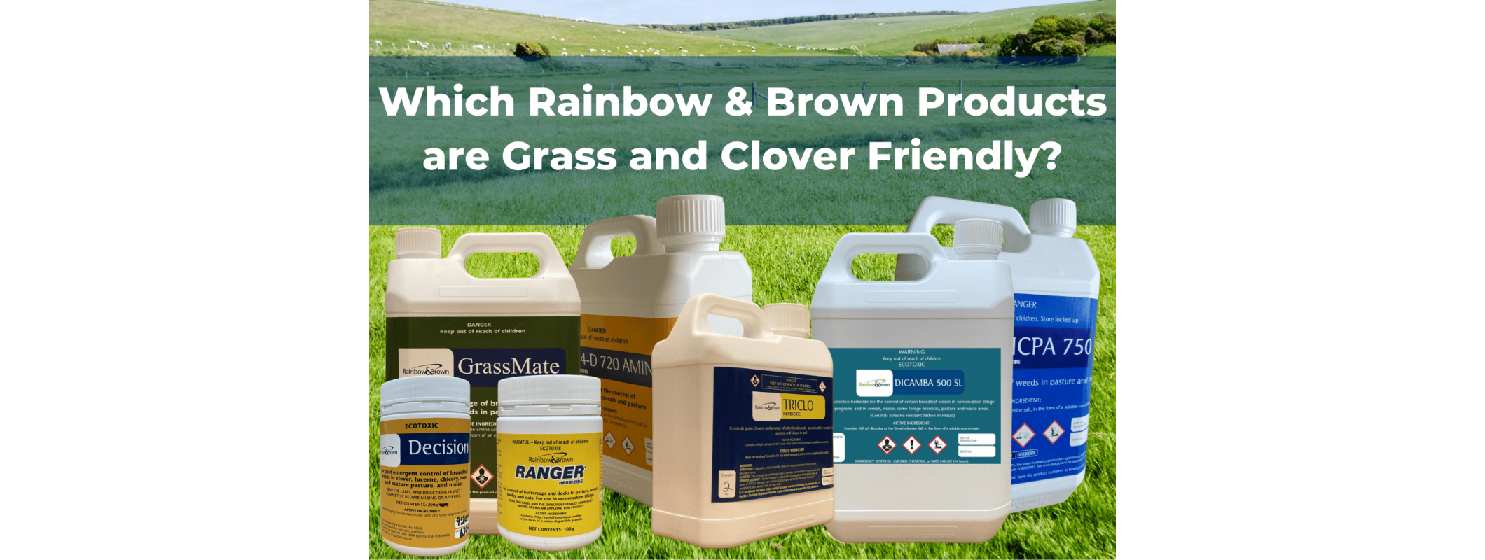 Grass Friendly Herbicide Selection from Rainbow & Brown